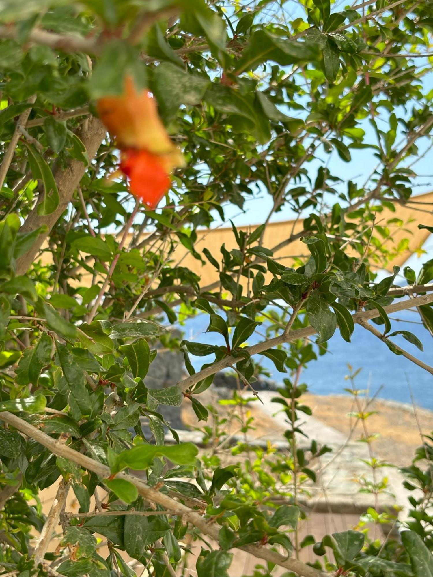 Almyra Yellow Villa Kíthnos Esterno foto